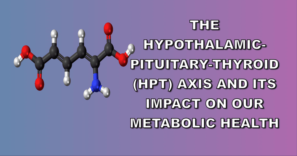 The Hypothalamic-Pituitary-Thyroid (HPT) Axis and its impact on metabolic health