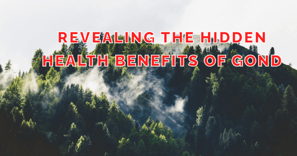 Discover the amazing health secrets of Gond, a superfood packed with essential nutrients and antioxidants. Learn how this traditional ingredient can improve your overall health and wellbeing