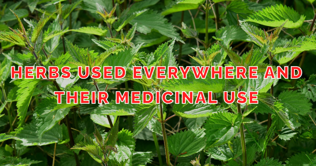 The use of herbs to treat diseases can be traced back thousands of years where traditional herbal practice is formed as the basis for many modem health care systems around the world. This includes medicine in Traditional Chinese Medicine through Ayurvedic practice practiced in India and by indigenous ones in Africa and the America, which considers herbs useful for medicinal purposes.