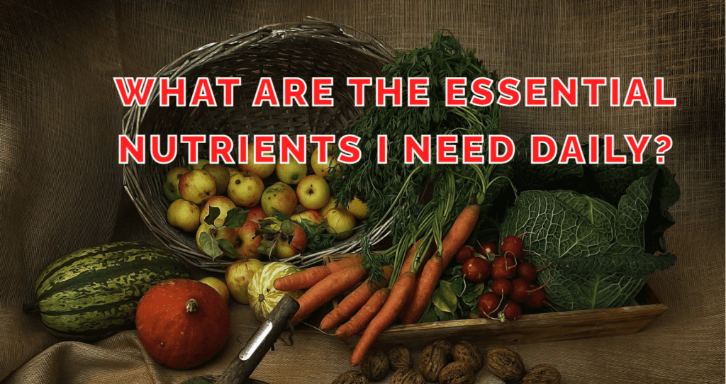 What are the essential nutrients I need daily? Nutrition is essential for our health, affecting everything from how much energy we have to how well our immune system works. We need to get certain nutrients—called essential nutrients—from our diet because our bodies can't make them on their own. These nutrients are important for our daily activities, growth, and healing. Whether you're just starting to learn about nutrition or you're already knowledgeable and want to refresh your memory, it's important to understand the essential nutrients that keep us healthy and help prevent diseases. In this article, we'll explore what these nutrients are, why they're important, and where you can find them in your everyday meals.
